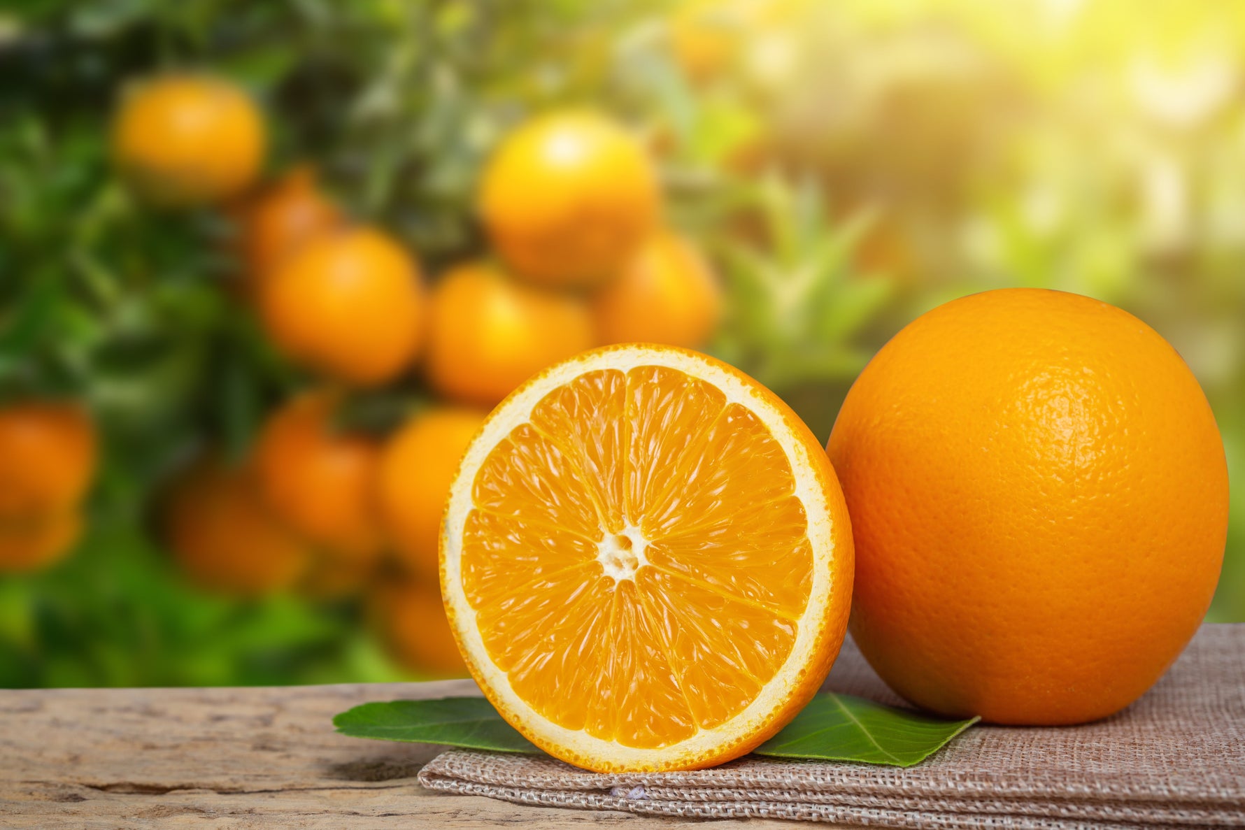 10 Makanan Kaya Vitamin C Selain Jeruk