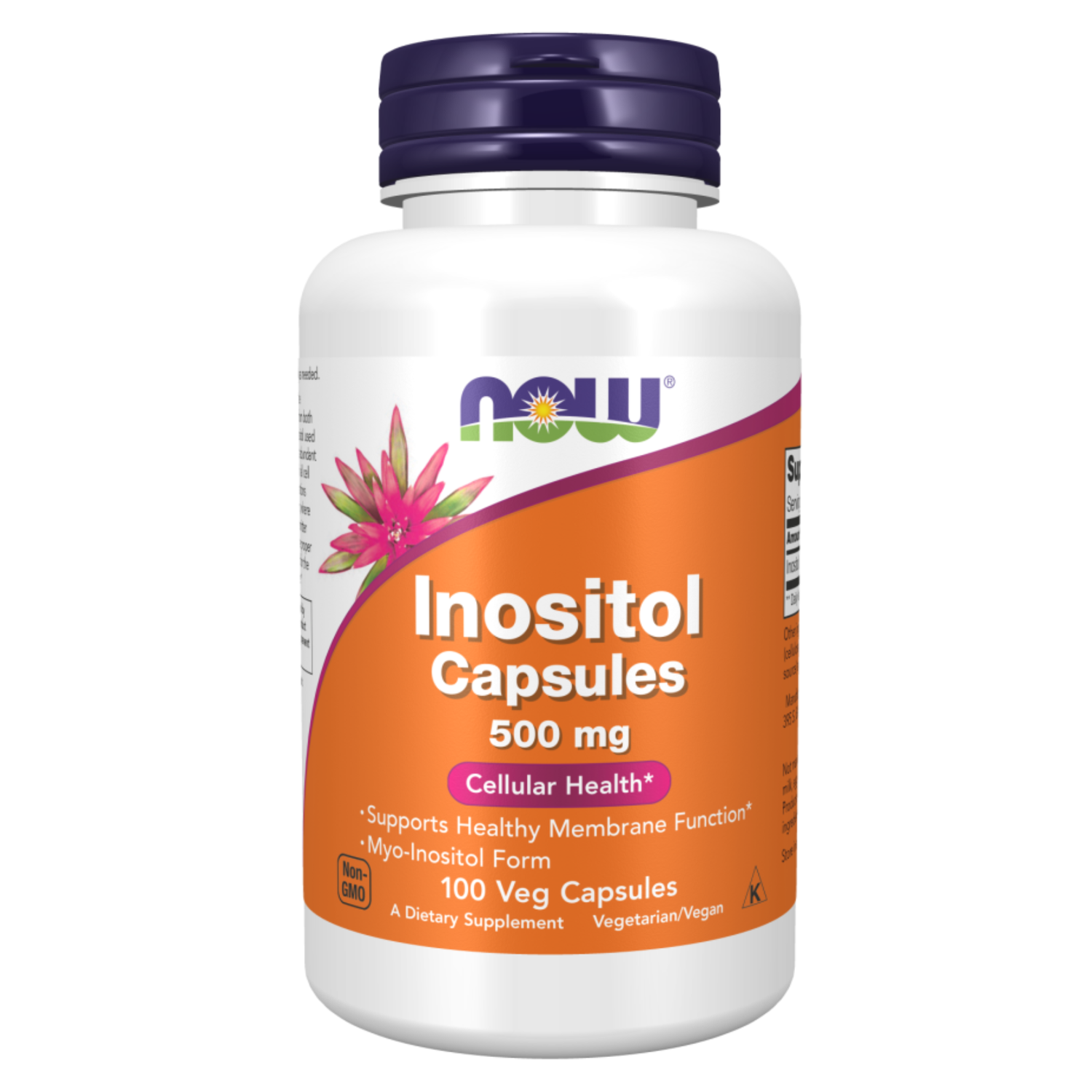 Now Foods Inositol 500mg