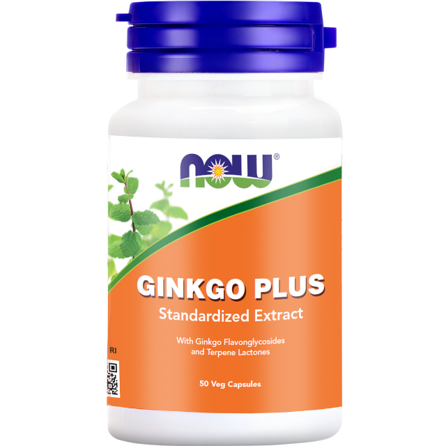 Now Ginkgo Plus 120mg