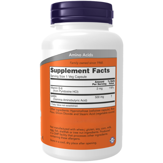 Now Foods Gaba 500mg With Vitamin B-6